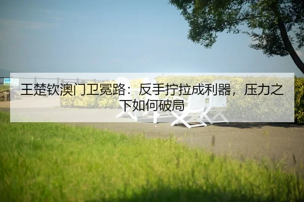 wang-chu-qin-ao-men-wei-mian-lu-fan-shou-ning-la-cheng-li-qi-ya-li-zhi-xia-ru-he-po-ju-2-329.jpg