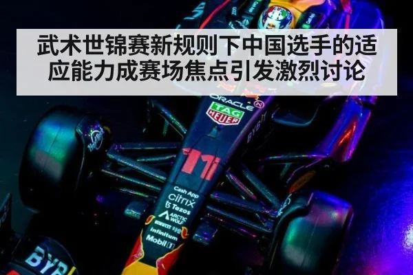 武术世锦赛新规则下中国选手的适应能力成赛场焦点引发激烈讨论